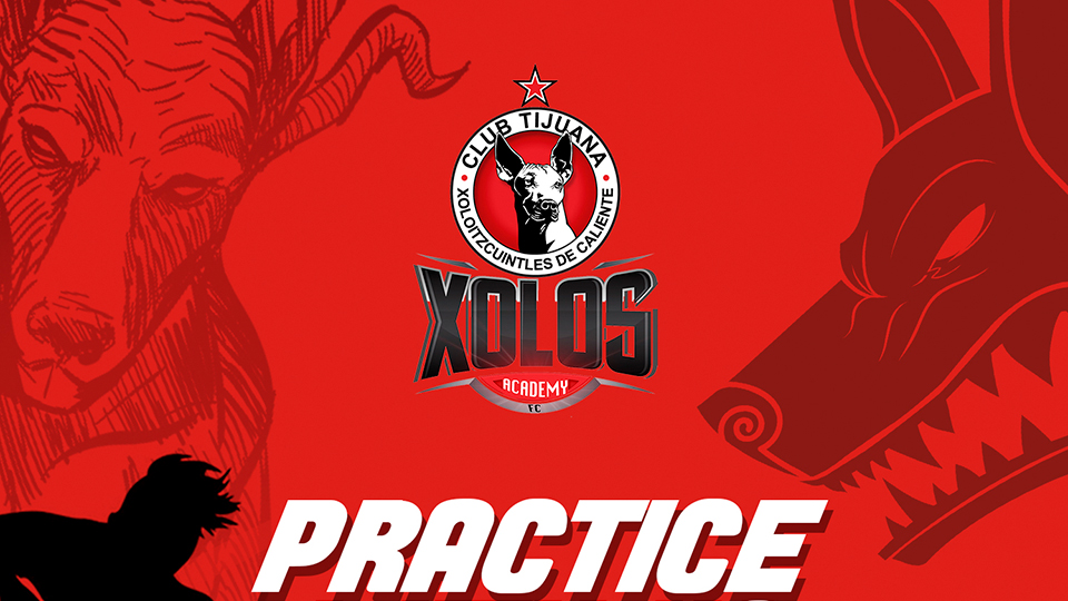 2019 PRACTICES BEGIN