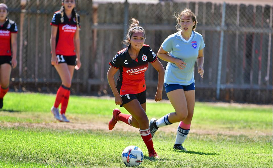 2019 TRYOUTS CONTINUE
